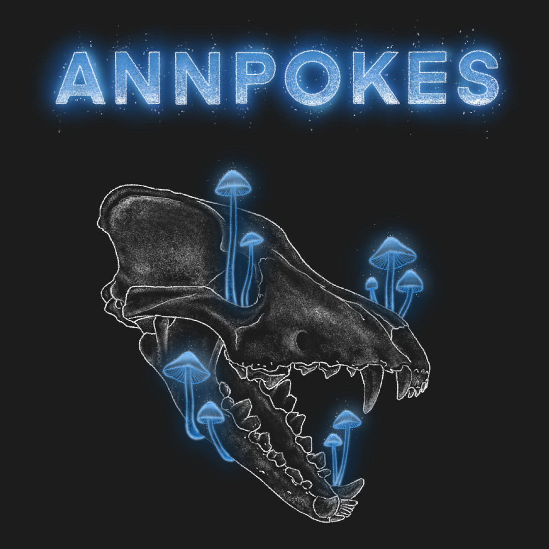 Annpokes